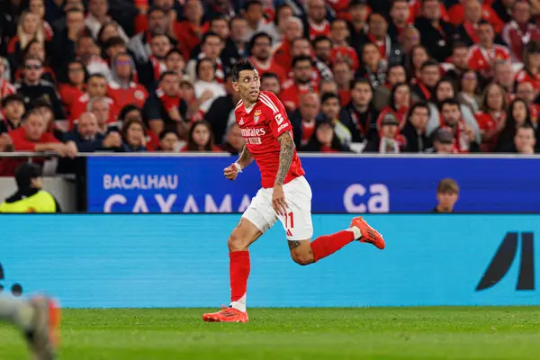 Estadio Da Luz 'daki SL Benfica ve FC Porto takımları arasında oynanan Liga Portekiz maçı sırasında görülen Angel Di Maria (Maciej Rogowski)