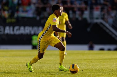 Nigel Thomas, Liga Portekiz maçı sırasında Estrela Amadora ve CD Nacional takımları arasında Estadio Jose Gomes 'de (Maciej Rogowski)