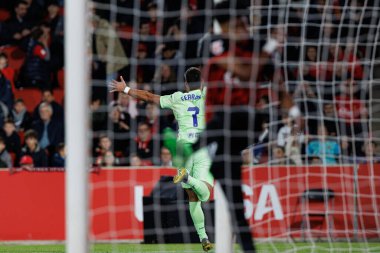 Ferran Torres, LaLiga EA SPORTS maçında RCD Mallorca ve FC Barcelona (Maciej Rogowski)