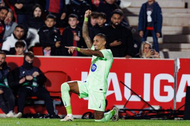 Raphinha, LaLiga EA SPORTS maçında RCD Mallorca ve FC Barcelona (Maciej Rogowski)