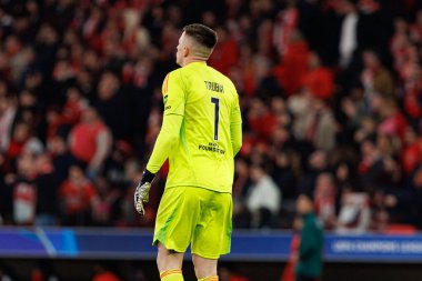 Anatoliy Trubin UEFA Şampiyonlar Ligi maçında SL Benfica ve Bologna FC 1909 (Maciej Rogowski)