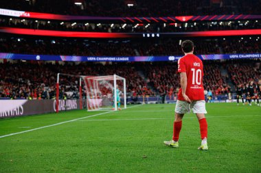 Orkun Kokcu, SL Benfica ve Bologna FC 1909 takımları arasında oynanan UEFA Şampiyonlar Ligi maçında görüldü (Maciej Rogowski)