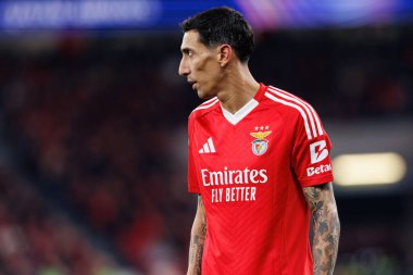 Angel Di Maria UEFA Şampiyonlar Ligi maçında SL Benfica ve Bologna FC 1909 takımları arasında görüldü (Maciej Rogowski)