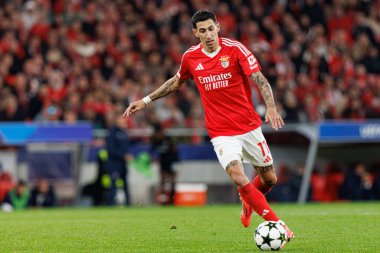 Angel Di Maria UEFA Şampiyonlar Ligi maçında SL Benfica ve Bologna FC 1909 takımları arasında görüldü (Maciej Rogowski)