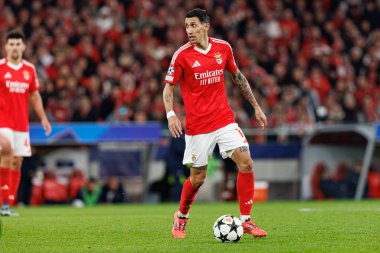 Angel Di Maria UEFA Şampiyonlar Ligi maçında SL Benfica ve Bologna FC 1909 takımları arasında görüldü (Maciej Rogowski)