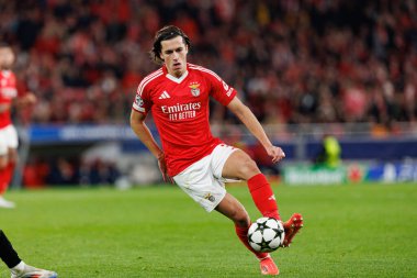 Alvaro Carreras UEFA Şampiyonlar Ligi maçında SL Benfica ve Bologna FC 1909 (Maciej Rogowski)