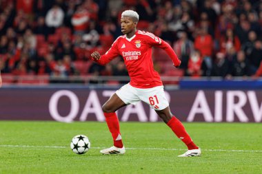 Florentino Luis UEFA Şampiyonlar Ligi maçında SL Benfica ve Bologna FC 1909 (Maciej Rogowski)