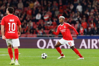 Florentino Luis UEFA Şampiyonlar Ligi maçında SL Benfica ve Bologna FC 1909 (Maciej Rogowski)