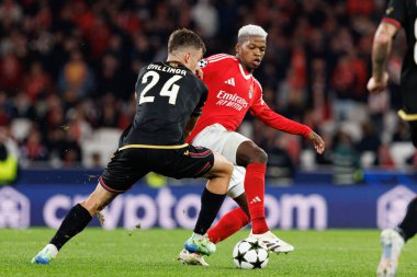 Thijs Dallinga, Florentino Luis UEFA Şampiyonlar Ligi maçında SL Benfica ve Bologna FC 1909 takımları arasında görüldü (Maciej Rogowski)