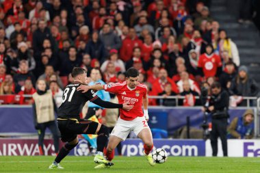 Sam Beukema, Zeki Amdouni UEFA Şampiyonlar Ligi maçında SL Benfica ve Bologna FC 1909 takımları arasında görüldü (Maciej Rogowski)