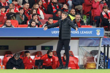 Bruno Lage UEFA Şampiyonlar Ligi maçında SL Benfica ve Bologna FC 1909 takımları arasında görüldü (Maciej Rogowski)