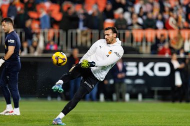 Mestalla Stadyumu 'ndaki Valencia CF ve Real Madrid FC takımları arasında oynanan LaLiga EA SPORTS maçı sırasında Dimitrievski' yi çaldı (Maciej Rogowski)