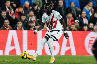 LaLiga EA SPORTS maçında Rayo Vallecano ve RC Celta de Vigo takımları arasında Estadio de Vallecas (Maciej Rogowski)