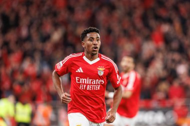 Leandro Barreiro, Liga Portekiz maçında SL Benfica ve FC Famalicao (Maciej Rogowski)