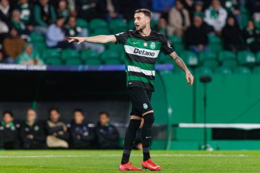 Zeno Debast, Sporting CP ve Bologna FC (Maciej Rogowski) takımları arasında oynanan UEFA Şampiyonlar Ligi maçında görüldü)