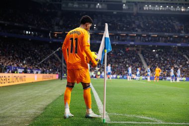 RCD EASPORTS maçında RCD Espanyol de Barcelona ve Real Madrid FC takımları arasında RCDE Stadyumu 'nda (Maciej Rogowski)