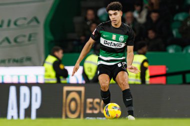 Joao Simoes, Liga Portekiz maçı sırasında Estadio Jose Alvalade 'de (Maciej Rogowski)