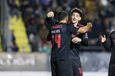 Benfica 'nın oyuncuları Liga Portekiz maçında Estrela Amadora ve SL Benfica takımları arasında Estadio Jose Gomes' de (Maciej Rogowski)