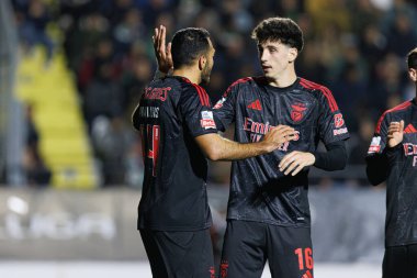 Benfica 'nın oyuncuları Liga Portekiz maçında Estrela Amadora ve SL Benfica takımları arasında Estadio Jose Gomes' de (Maciej Rogowski)