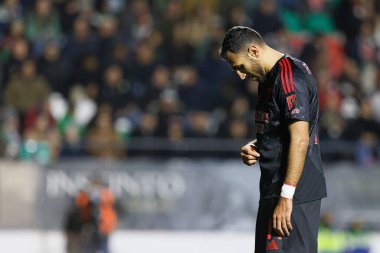 Vangelis Pavlidis, Liga Portekiz maçında Estrela Amadora ve SL Benfica takımları arasında attığı gol sonrasında Estadio Jose Gomes 'de (Maciej Rogowski)