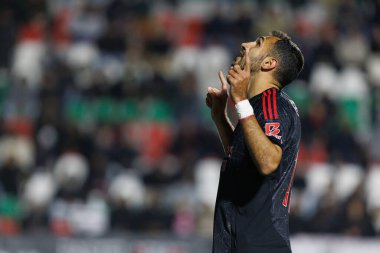 Vangelis Pavlidis, Liga Portekiz maçında Estrela Amadora ve SL Benfica takımları arasında attığı gol sonrasında Estadio Jose Gomes 'de (Maciej Rogowski)