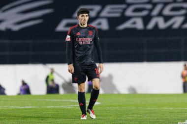 Manuel Silva, Liga Portekiz maçı sırasında Estrela Amadora ve SL Benfica takımları arasında Estadio Jose Gomes 'de (Maciej Rogowski)