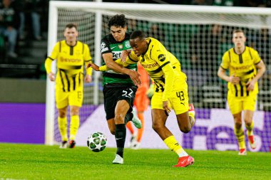 Joao Simoes ve Jamie Gittens UEFA Şampiyonlar Ligi maçında Sporting CP ve Borussia Dortmund (Maciej Rogowski)