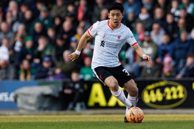 Wataru Endo FA Cup 4. Raundda Home Park Stadyumu 'nda Plymouth Argyle FC ve Liverpool FC takımları arasında görüldü (Maciej Rogowski)