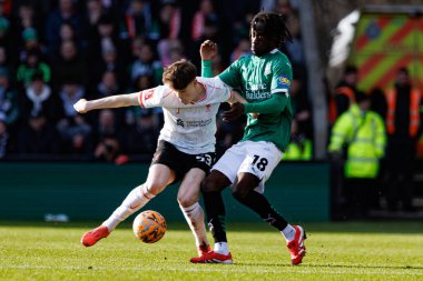 James McConnell ve Darko Gyabi FA Cup 4. Raundda Home Park Stadyumu 'nda Plymouth Argyle FC ve Liverpool FC takımları arasında görüldü (Maciej Rogowski)