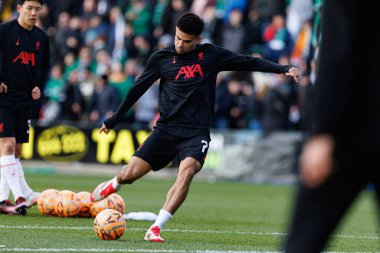 Luis Diaz, FA Cup 4. Raundda Home Park Stadyumu 'nda Plymouth Argyle FC ve Liverpool FC takımları arasında görüldü (Maciej Rogowski)