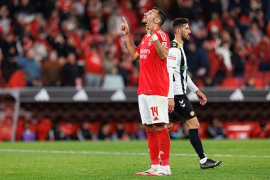 Vangelis Pavlidis, Liga Portekiz maçında SL Benfica ve CD Nacional (Maciej Rogowski)