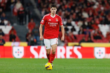 Antonio Silva Liga Portekiz maçı sırasında SL Benfica ve CD Nacional takımları arasında görüldü (Maciej Rogowski)