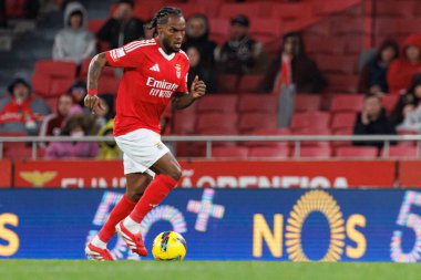 Renato Sanches Liga Portekiz maçı sırasında SL Benfica ve CD Nacional (Maciej Rogowski)