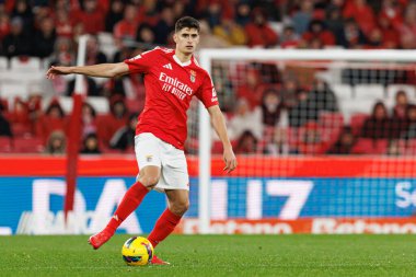 Antonio Silva Liga Portekiz maçı sırasında SL Benfica ve CD Nacional takımları arasında görüldü (Maciej Rogowski)