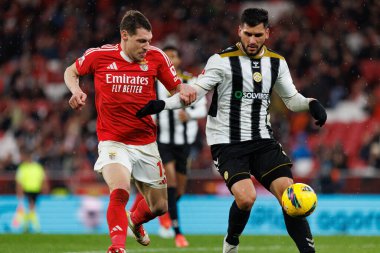Andrea Belotti ve Ze Vitor Liga Portekiz maçı sırasında SL Benfica ve CD Nacional (Maciej Rogowski)