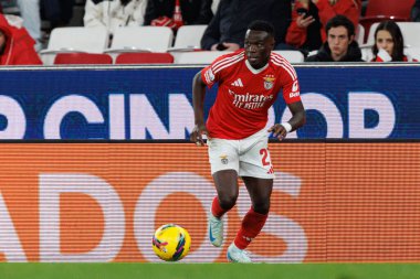 SL Benfica ve CD Nacional takımları arasında Liga Portekiz maçı sırasında görülen Bruma (Maciej Rogowski)