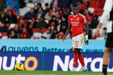 SL Benfica ve CD Nacional takımları arasında Liga Portekiz maçı sırasında görülen Bruma (Maciej Rogowski)