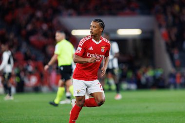 Leandro Santos, Liga Portekiz maçı sırasında SL Benfica ve CD Nacional (Maciej Rogowski)