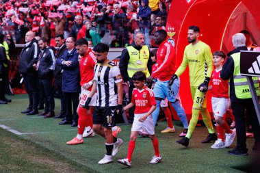 SL Benfica ve CD Nacional (Maciej Rogowski) takımları arasında oynanan Liga Portekiz maçında her iki takımın oyuncuları)