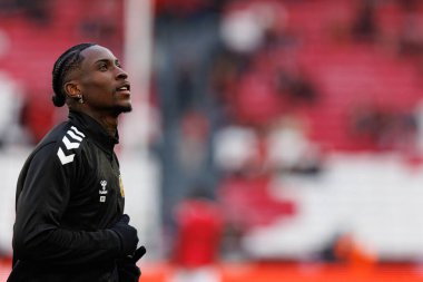 Dudu Teodora, Liga Portekiz maçı sırasında SL Benfica ve CD Nacional (Maciej Rogowski)