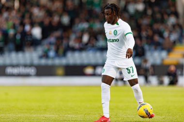 Estadio Belediyesi Rio Maior 'daki Casa Pia ve Sporting CP takımları arasında oynanan Liga Portekiz maçı sırasında Geovany Quenda görüldü (Maciej Rogowski)