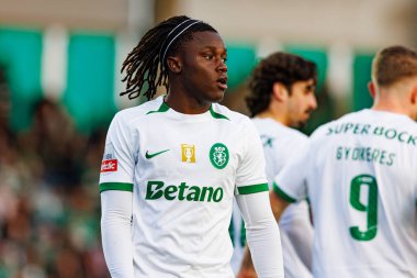 Estadio Belediyesi Rio Maior 'daki Casa Pia ve Sporting CP takımları arasında oynanan Liga Portekiz maçı sırasında Geovany Quenda görüldü (Maciej Rogowski)