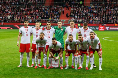 Dünya Kupası 2026 Avrupa ön eleme maçında Polonya ve Litvanya milli takımları arasında PGE Narodowy 'de görüldü (Maciej Rogowski)