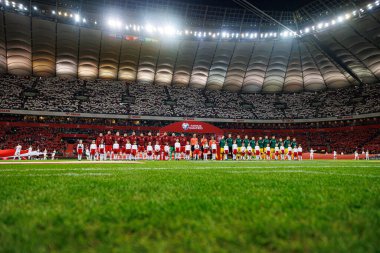 Polonya ve Litvanya milli takımları arasında PGE Narodowy 'de (Maciej Rogowski)