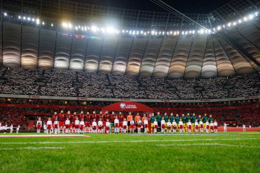 Polonya ve Litvanya milli takımları arasında PGE Narodowy 'de (Maciej Rogowski)
