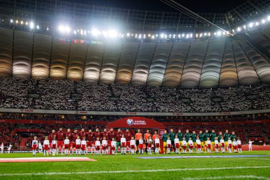 Polonya ve Litvanya milli takımları arasında PGE Narodowy 'de (Maciej Rogowski)