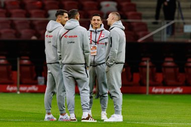 Polonya ve Litvanya milli takımları arasında PGE Narodowy (Maciej Rogowski)