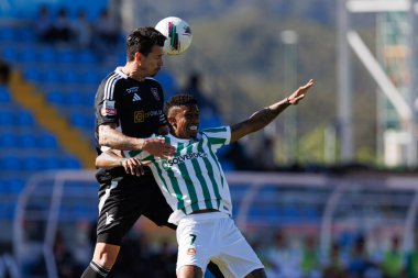 Jose Fonte ve Andre Luiz, Liga Portekiz maçı sırasında Estadio Belediyesi Rio Maior 'da Casa Pia ve Rio Ave FC takımları arasında görüldü (Maciej Rogowski)
