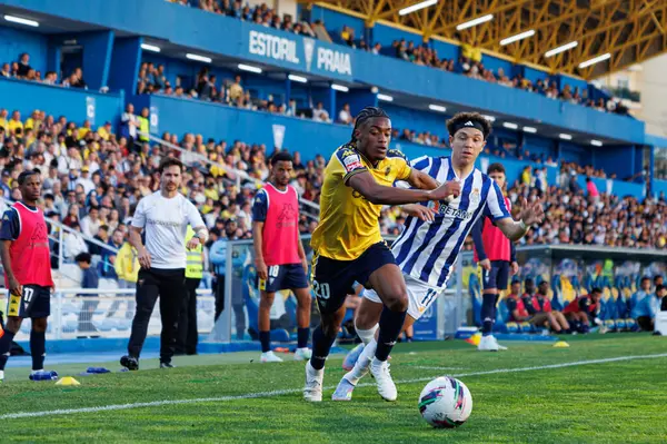 Wagner Pina ve Pepe, Liga Portekiz maçı sırasında Estoril Praia ve FC Porto takımları arasında Estadio Antonio Coimbra da Mota 'da (Maciej Rogowski)