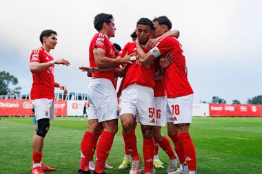 Benfica B oyuncuları Liga Portekiz 2 maçında SL Benfica B ve Academico de Viseu FC takımları arasında Francisco Neto 'dan gol üstüne gol atarken görüldü.